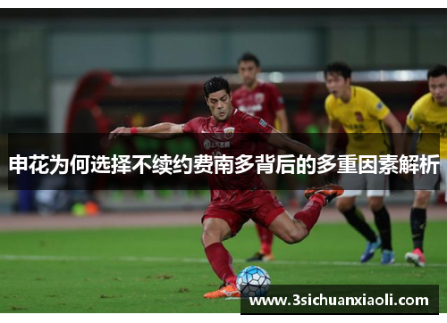 申花为何选择不续约费南多背后的多重因素解析