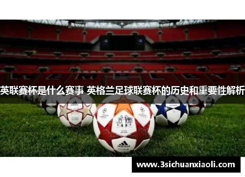 英联赛杯是什么赛事 英格兰足球联赛杯的历史和重要性解析