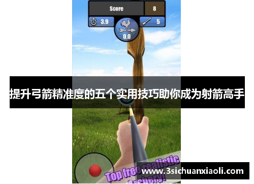 提升弓箭精准度的五个实用技巧助你成为射箭高手
