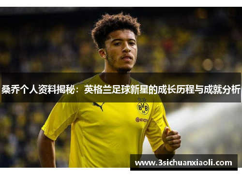 桑乔个人资料揭秘：英格兰足球新星的成长历程与成就分析
